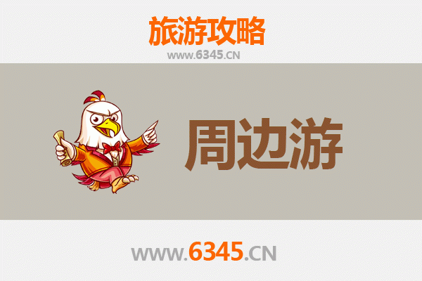 自贡荣县周边游全攻略：探秘千年盐都与恐龙之乡
